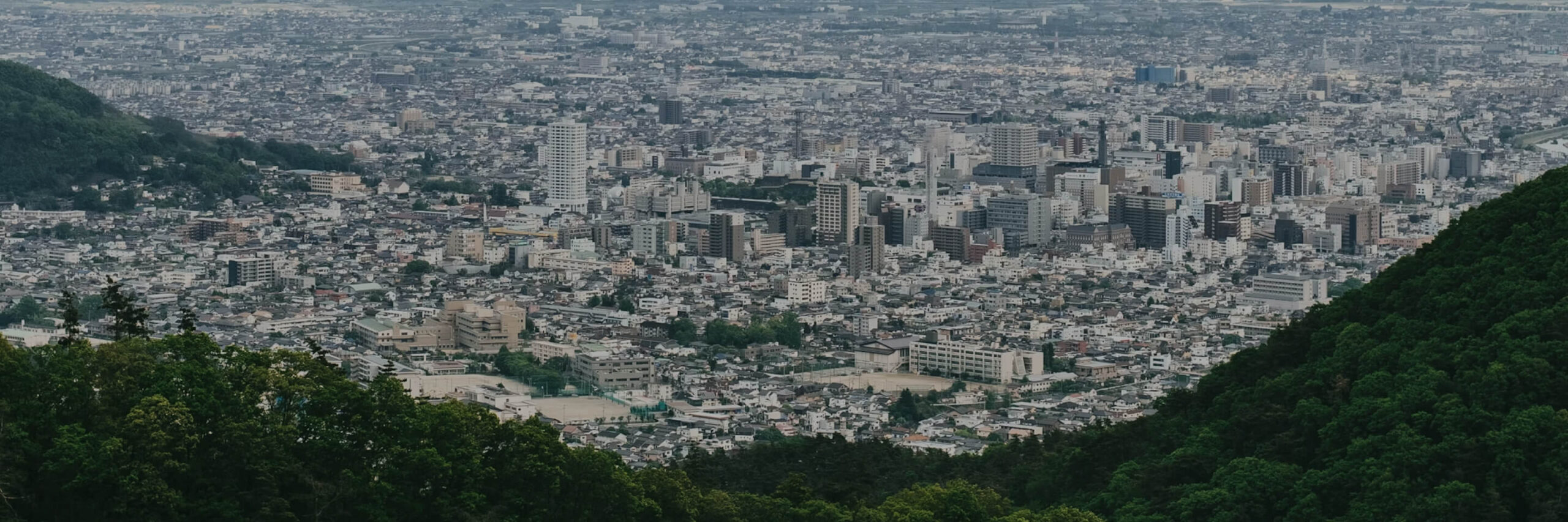 甲府盆地を見下ろす高台から、眼下に広がる市街地と、遠方に連なる山々の背後にそびえる冠雪の富士山。