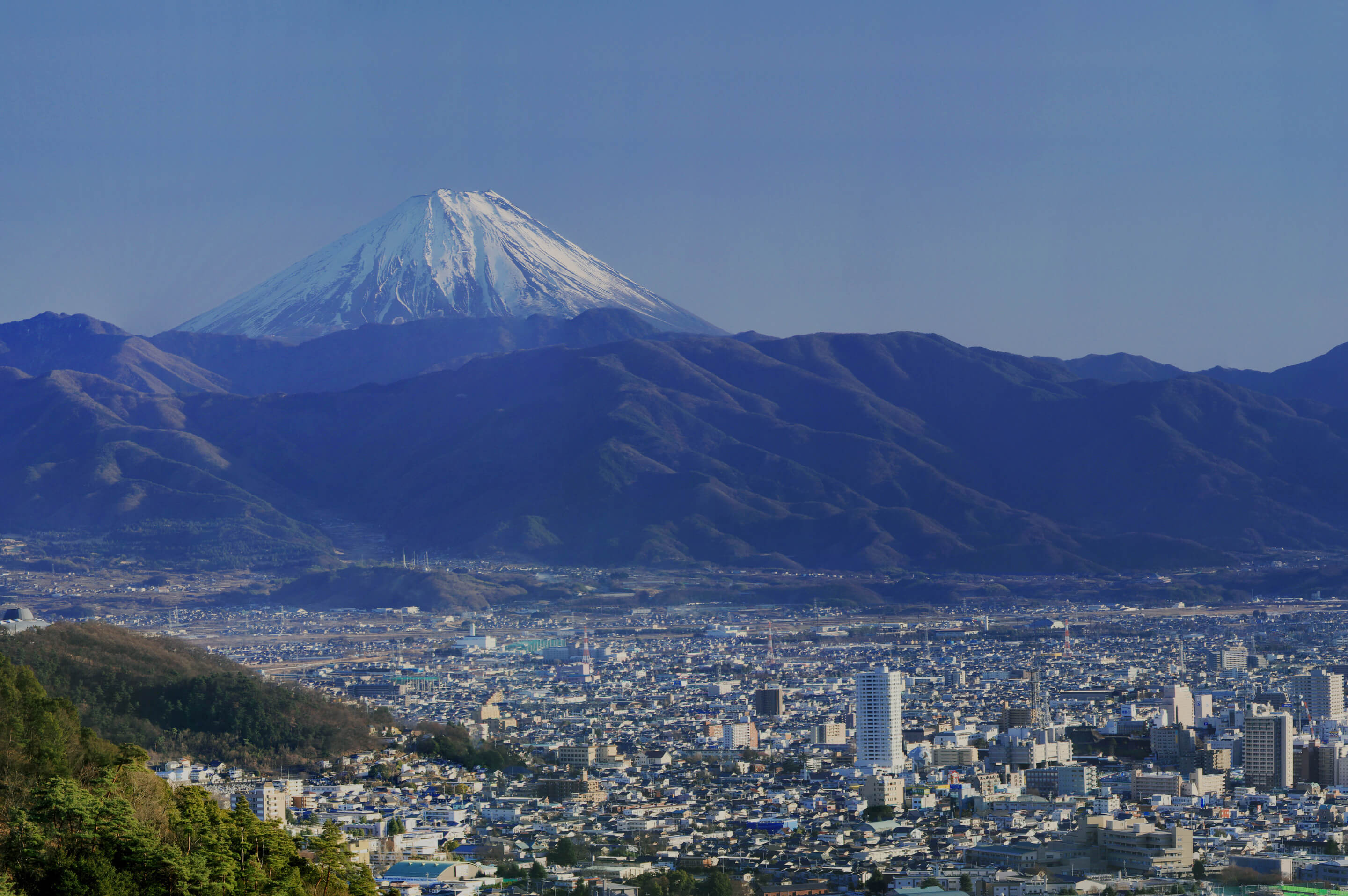 高台から見下ろす甲府盆地の密集した市街地と、青空のもと遠くに広がる山々および冠雪した富士山